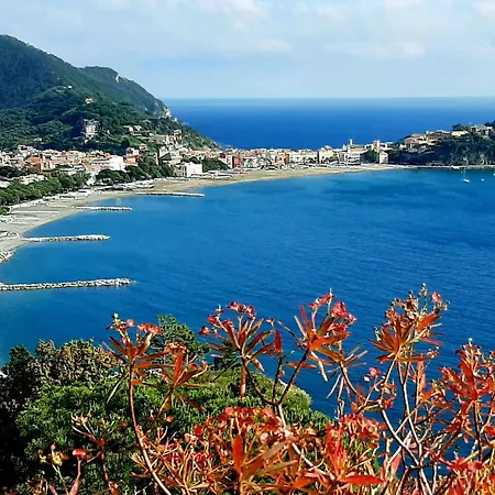 Locazione Turistica Casa Lambruschini